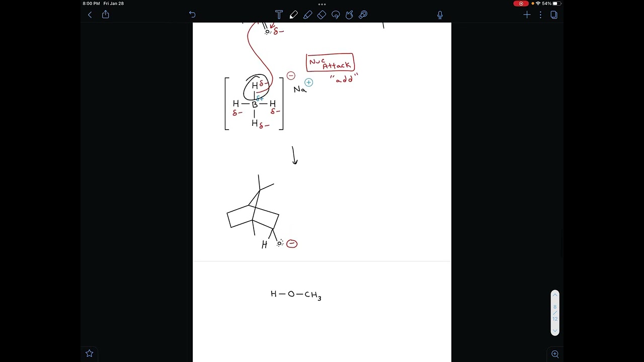 Mechanism for the Reduction of Camphor to Isoborneol