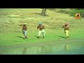 Bhakta Tukaram Songs | Padavelli Pothundi Raa Song | Nageswara Rao| Sivaji Ganesan | Sridevi Mp3 Song