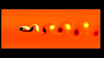 Flow Past a Cylinder - Vorticity Field