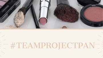 #TEAMPROJECTPAN2021 Intro Video (I