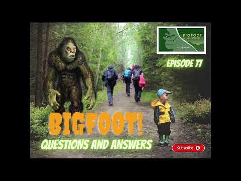 BIGFOOT! QUESTIONS AND ANSWERS | Our Panel Answers Your Questions