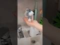 Automatic soap dispenser 🤩 #shorts #viral #gadgets