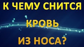 ТОЛКОВАНИЕ СНОВИДЕНИЙ - К чему приснилась КРОВЬ из НОСА? ТОЛКОВАНИЕ СНОВИДЕНИЙ - К чему приснилась КРОВЬ из НОСА?