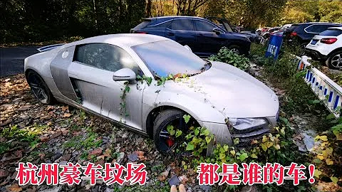 實拍：杭州豪車「墳場」，幾百萬的跑車放到報廢，看着真可惜 - 天天要聞