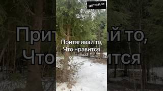 Про фокус внимания