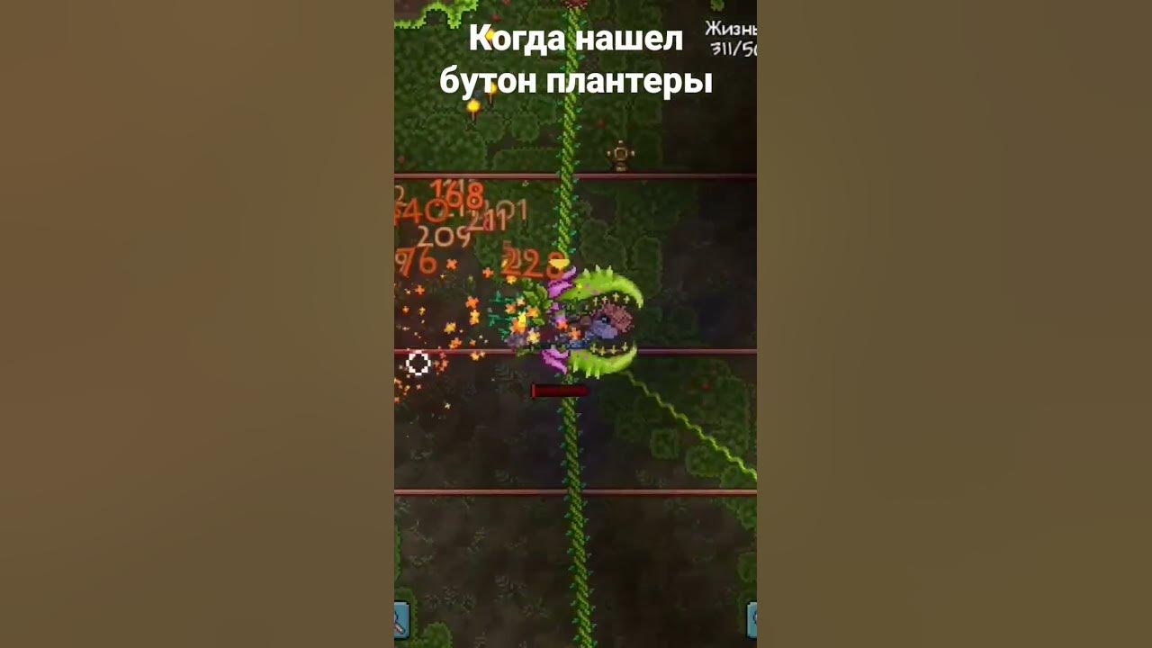 когда нашел бутон плантеры - YouTube