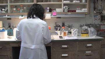 Researchers track evolution and spread of drug-resistant bacteria across continents