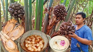 Nipa Palm Fruit have you ever try to cooked and eat this type of Wild Fruit? bunga ng Sasa Chapter40