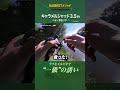 【バス釣り】「手返し・レンジキープ・アクション」全てが"一級" #Shorts  #キャラメルシャッド #リグ
