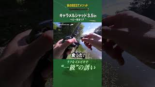 【バス釣り】「手返し・レンジキープ・アクション」全てが"一級" #Shorts  #キャラメルシャッド #リグ