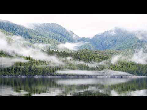 Travel Study: The Great Bear Rainforest