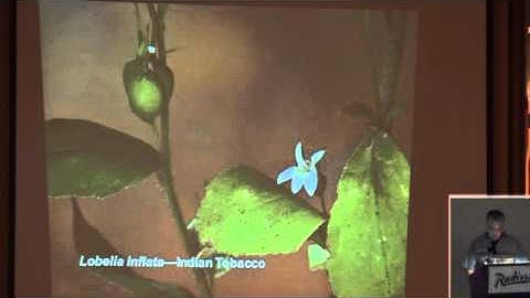 Flora of the Driftless Area