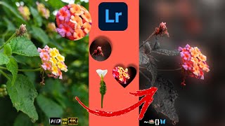 # Lightroom 🍁📸Lightroom photo Editing Tutorial Beautiful Flowers ak photography screenshot 2