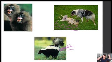 SFU LING 100 - [2] Animal Communication