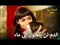 واخيرا استسلمت للأمر الواقع الحياة أحيانا حلوة الحلقة 50 