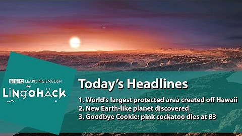 Learn words from the news: marine reserve, orbiting, mourning - DayDayNews