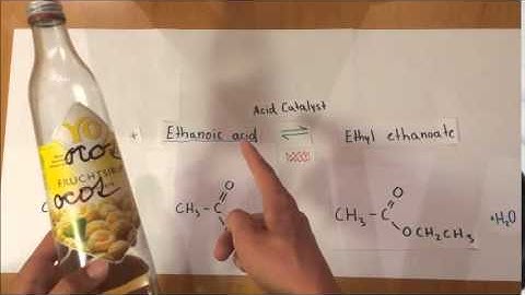 Esterification Video