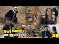 Vwj kwm cia los sib cuag ( Part #2 ). Yaws ntaj mag tsov hem |  Hmong Film Mc #2026