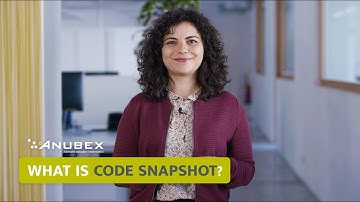 What Is a Code Snapshot?
