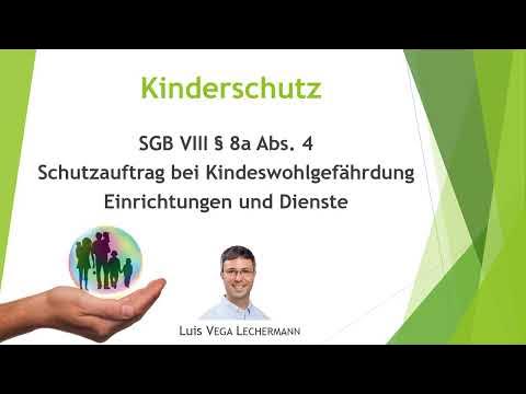 SGB VIII § 8a Abs 4 Schutzauftrag von Einrichtungen und Diensten in der ...