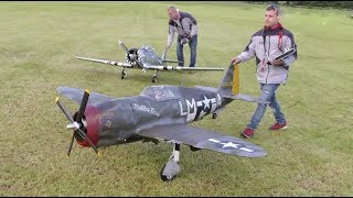 MOKI 250cc 1/4 SCALE CARF TEXAN + CARF P-47 HOWLING ACROSS WESTON PARK RC AIRSHOW - 2019