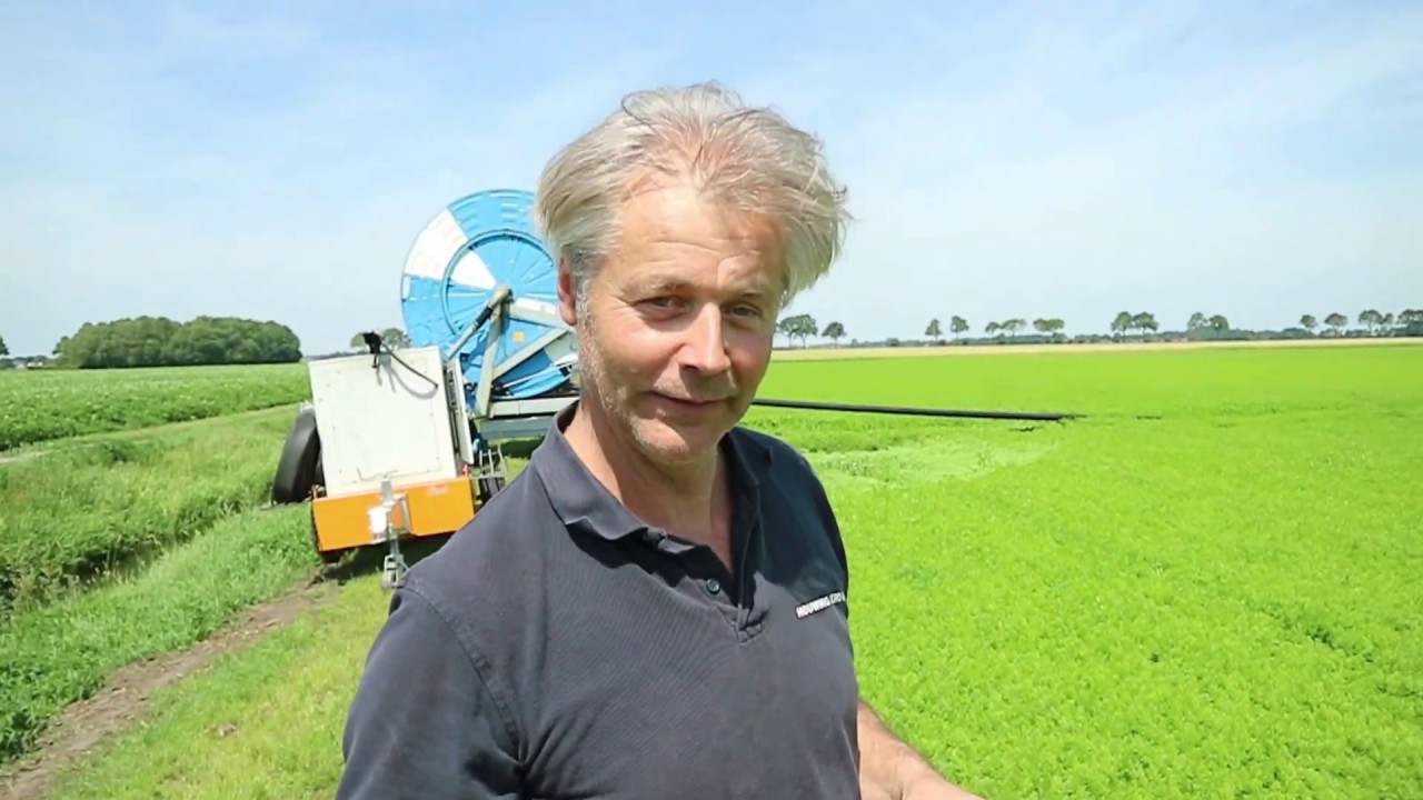 Water over de gewassen. Boeren vinden het een rotklus - Bie de Boer (33)