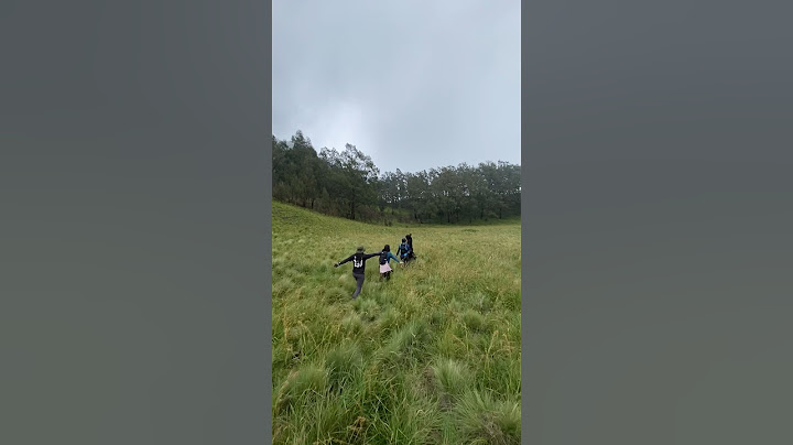 Tiba tiba ada yang nyamperin temen temen sendiri #part10 #sopbuah #gunungbuthak #pendakigunung
