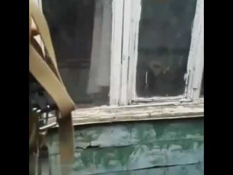 как выходить гулять