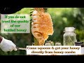 squeeze your Honey || Directly from Honeycomb || No chance to adulteration