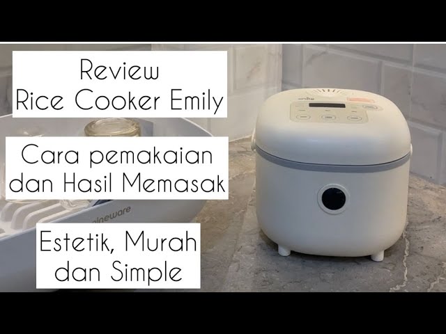 DFB-B20A1 Mini rice cooker – Pacific Innovations Gateway Inc.