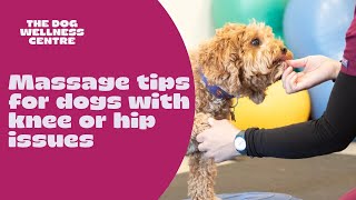 How to massage your dogs rear legs at home