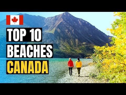 فيديو: أفضل 10 شواطئ في كندا