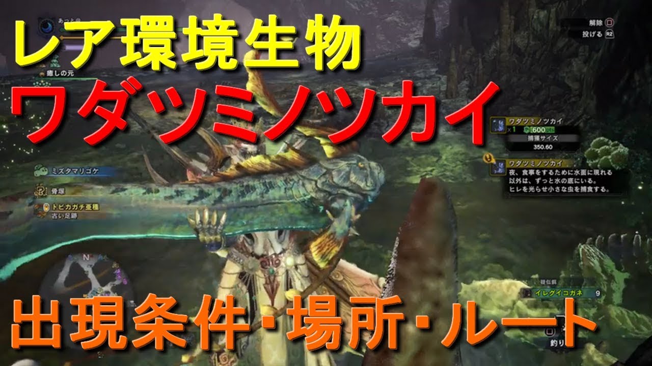 レア環境生物 ワダツミノツカイ 出現条件と入手方法 場所 ｍｈｗｉｂモンハンワールドアイスボーン Youtube