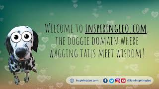 Welcome to inspiringleo com, the doggie domain where wagging tails meet wisdom!