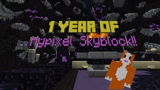 1 YEAR OF HYPIXEL SKYBLOCK #3