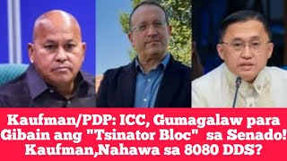 Kaufmanpdp Icc, Gumagalaw Para Gibain Ang Tsinator Bloc Sa Senado Kaufman,Nahawa Sa 8080 Dds?