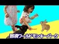 ウサギにエサをあげたよ♪ 那須ワールドモンキーパーク Vol.2  himawari-CH