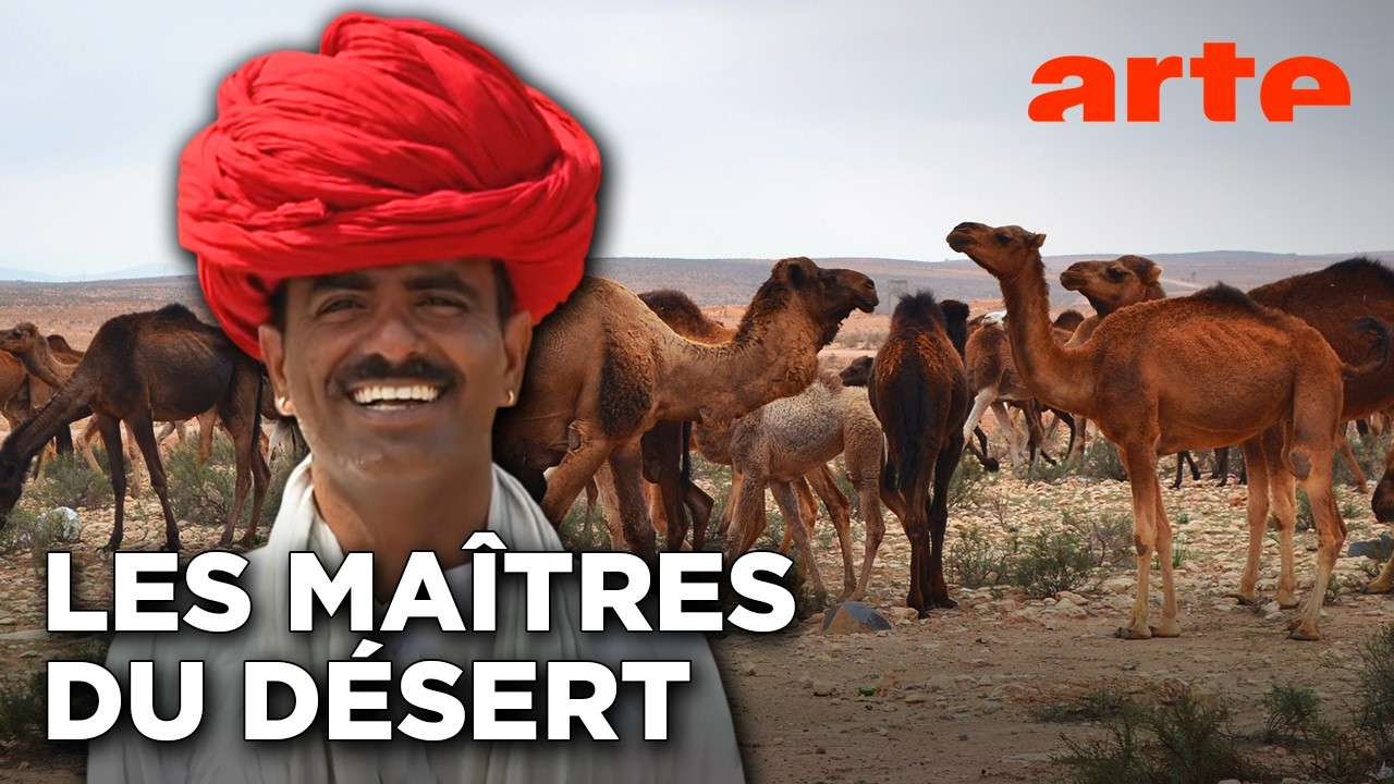 Les derniers guides du désert au Rajasthan | ARTE
