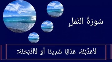 سورة النمل (15-26) للقارئ سعد الغامدي