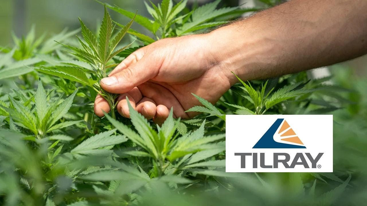tlry stock New 2022 Should You Buy Tilray Going Into 2022?? Tilray (TLRY) Stock Analysis \u0026 Price Target