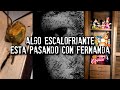 Algo está pasando con Fernanda Ni