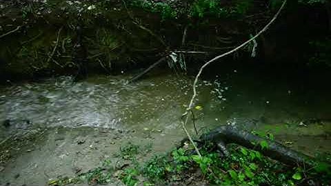 🌱تلاوة محبرة للشيخ يونس إسويلص سورة الفرقان 🌱#تلاوة_محبرة