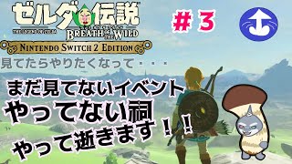 【ゼルダの伝説ブレスオブザワイルド】 リンクは大変なものを盗んでいきました＃３【switch２えでしょん/頬白凪】