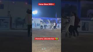 Horse Show 2023/Horse Attitude/Horse videos/Marwari Horse/Stallion Horse/Whatsapp status #shorts