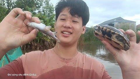 Bà nghĩa địa đi đỗ dớn kiếm cá ăn cho ngày mưa bão #dscd2r