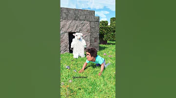 Minecraft RTX 185 REVERSE Shorts 