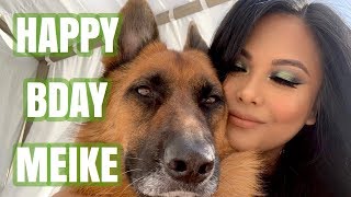 The Diary of German Shepherds | 4 by Meike and Eiko 271,986 views 5 years ago 7 minutes, 14 seconds