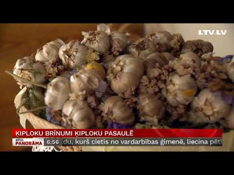 Video: Ķiploku daiviņu audzēšana: kas ir ķiploku sēnes un kā tās novākt