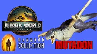MUTADON Hammond Collection Jurassic World Rebirth toy  review #jurassicworld