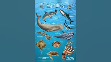 Class-4th-Evs-Adaptation in Animals